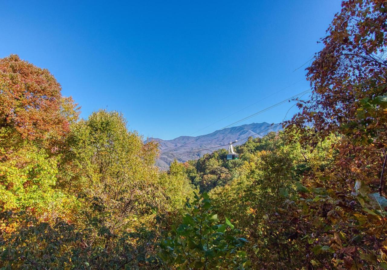 Daya, Hot Tub, Pool Table, 1089 Of Free Attraction Tickets For Each Paid Day, Dollywood And More! Gatlinburg Εξωτερικό φωτογραφία